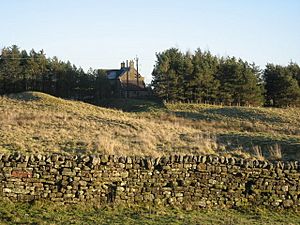 (The site of) Turret 30b on Hadrian's Wall near Carrawbrough Farm - geograph.org.uk - 1110724