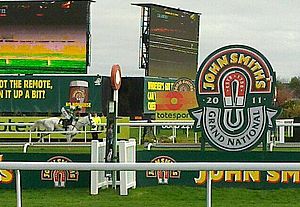 2011 Grand National cropped