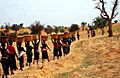 ASC Leiden - W.E.A. van Beek Collection - Dogon agriculture 05 - The women of a neighborhood ward with manure on their way to the field of one of them, Tireli, Mali 1990