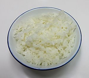 A bowl of rice