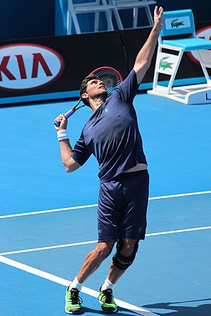 Australian Open 2015 (16190287620)