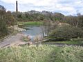 Bag Pool , Baggeridge Country Park, Sedgley - geograph.org.uk - 154307
