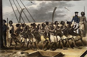 Baie Houa-Houa; Naturels exécutant une danse à bord de l'Astrolabe (Nouvelle-Zélande) by Louis Auguste de Sainson, 1833