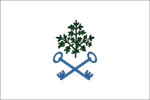 Bandera de La Mata (Toledo) 2