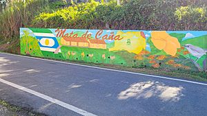 Mural on Puerto Rico Highway 568 in Mata de Cañas