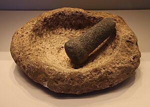 Basalt & Limestone Mortar & Pestle, Natufian Culture