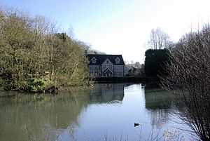 Basted Mill Pond