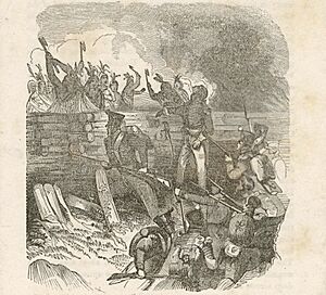 Battle of Tohopeka