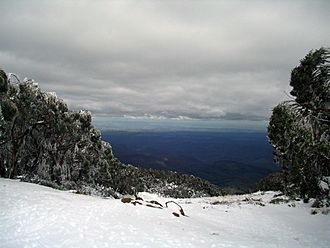 View from the summit of Mt. Baw Baw