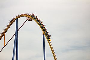 Behemoth roller coaster descending, August 2018