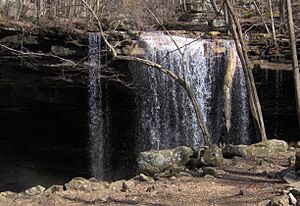 Big-laurel-falls-tennessee