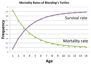 Blandings turtle survial rate