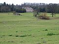 Bourne Park House and sheep fields - geograph.org.uk - 335631