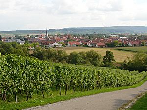 Brackenheim.jpg