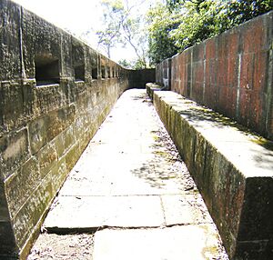 Bradleysheadsfortifi0034