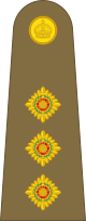 British Army (1920–1953) OF-2.svg