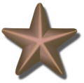 Bronze-service-star-3d-vector