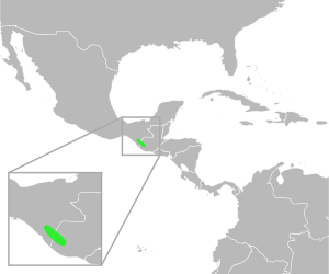 Bufo tacanensis distribution.svg