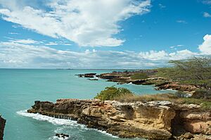 Cabo Rojo Lighthouse, PR-301, Boquerón, Cabo Rojo 00622, Puerto Rico - panoramio (1)