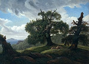 Carl Gustav Carus - Memory of a Wooded Island in the Baltic Sea(Oak trees by the Sea) - Google Art Project