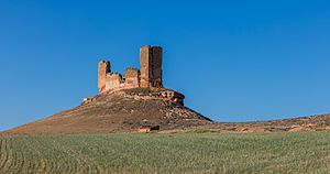 Castillo de Montuenga, Montuenga de Soria, Soria, España, 2017-05-23, DD 04