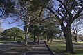 Centennial Park NSW 2021, Australia - panoramio (1)