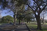 Centennial Park NSW 2021, Australia - panoramio (1).jpg
