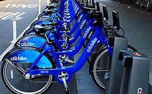 Citi bike (10414610734)