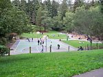 Codornices Park Berkeley