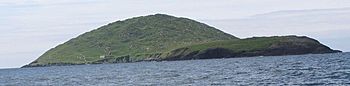 Deenish Island off Derrynane - geograph.org.uk - 505900.jpg