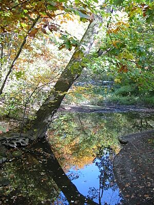 Doan brook for db exhibit 1
