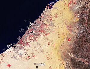 Dubai by Copernicus Sentinel-2 in false-colour