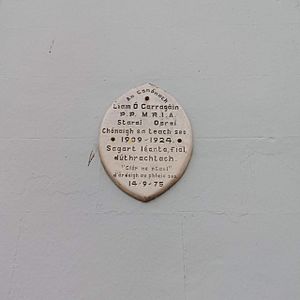 Durrow plaque Carrigan