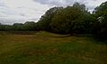 Eastern bank and ditch at Caesar's Camp, Wimbledon