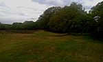 Eastern bank and ditch at Caesar's Camp, Wimbledon.jpg