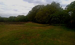 Eastern bank and ditch at Caesar's Camp, Wimbledon