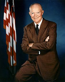 Eisenhower official