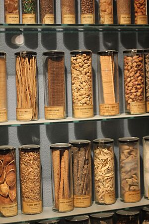 Et assortert utvalg urtemedisiner fra apoteket Ørnen ved Glomdalsmuseet