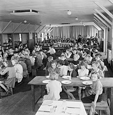 Evacuees in the dining hall of Marchant's Hill School, Hindhead, Surrey, 1944. D21631