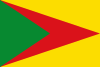 Flag of Paz de Ariporo