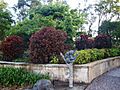 Gold Coast Regional Botanic Gardens (09)