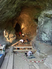 Grotte noisetier