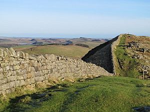 Hadrian's Wall at Turret 40a - geograph.org.uk - 2765946