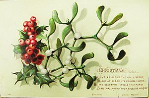 Holly Christmas card from NLI