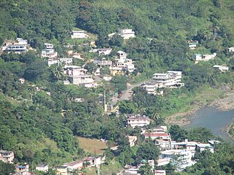 Homes and mountainside in Comerío, Puerto Rico