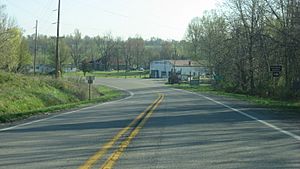 Illinois Route 37 in the village