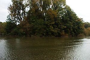 Isleworth Ait - geograph.org.uk - 1018958