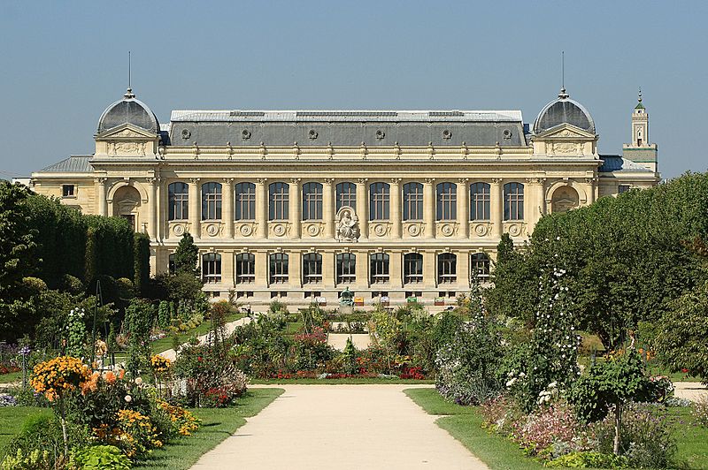 Jardin Plantes