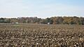 Joseph Finney House from a distance
