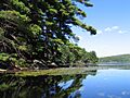 Kanawauke